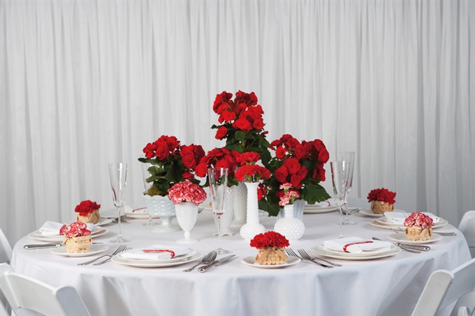 Изображение героя