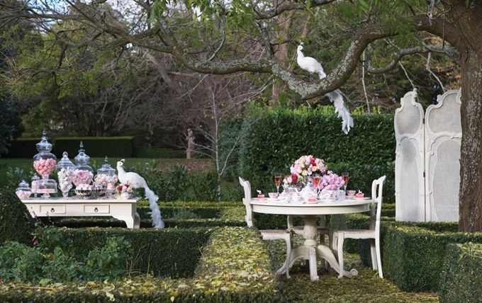 Изображение героя