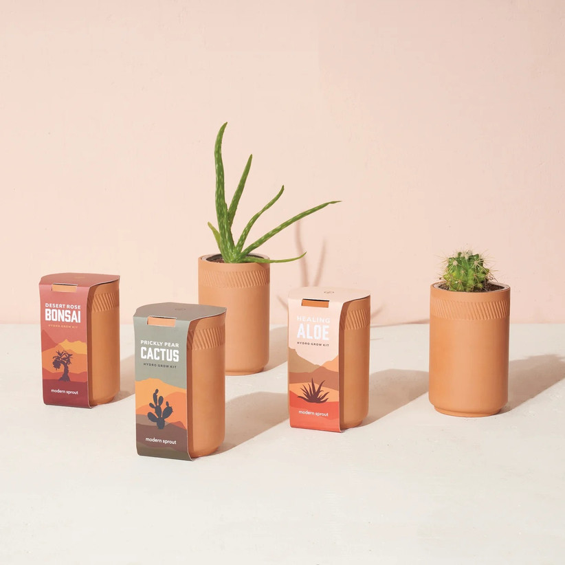 Terracotta planters with different plants small Valentine's gift idea