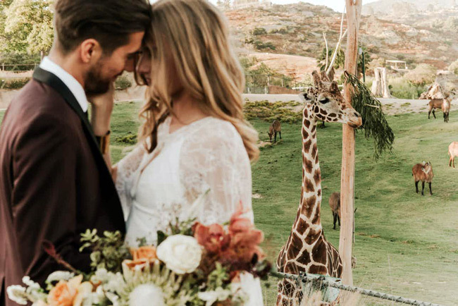 Недорогие места для свадьбы рядом со мной | Зоопарки и аквариумы