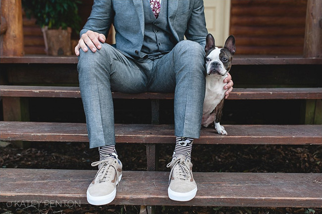 Способы завести собаку на свадьбу | Свадебные носки Furbaby