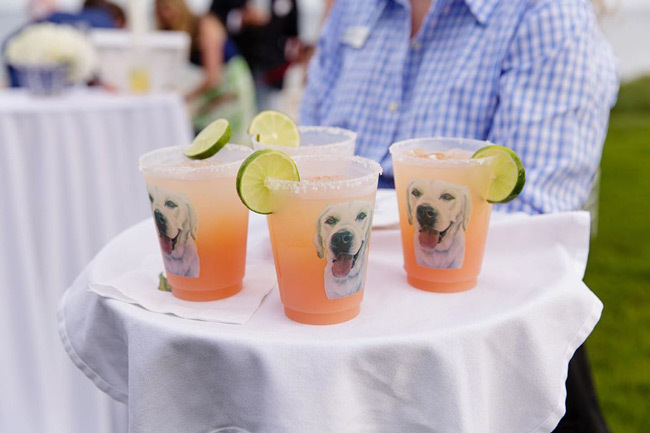 Детали свадьбы собаки | Морда собаки на стаканчиках для коктейлей