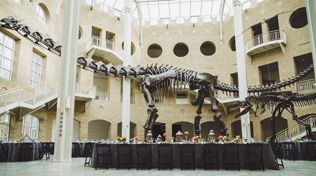 Unconventional Wedding Venue Ideas | Museums, Libraries, and Galleries