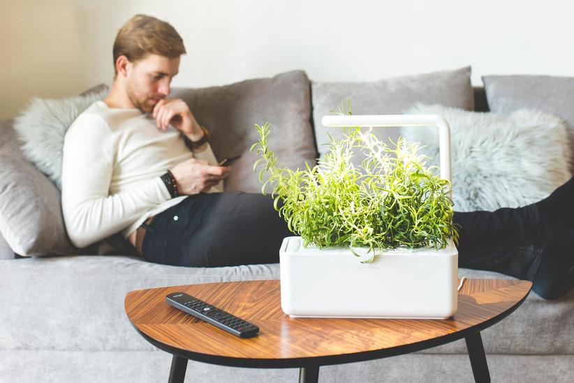 Man lounging on sofa on his phone with white smart garden on coffee table full of greens