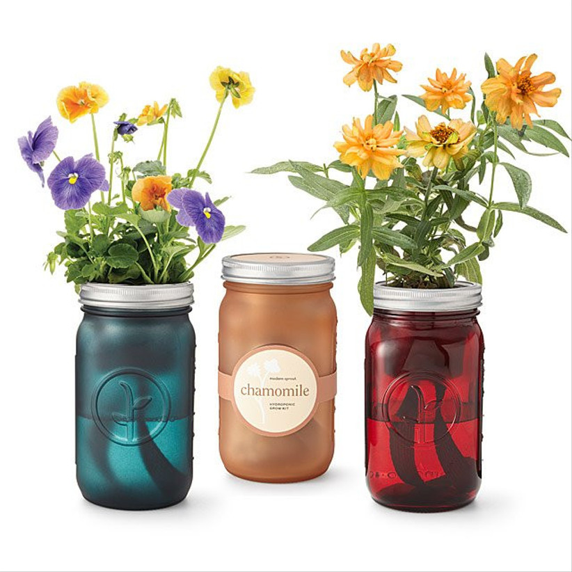 flowers in mason jars