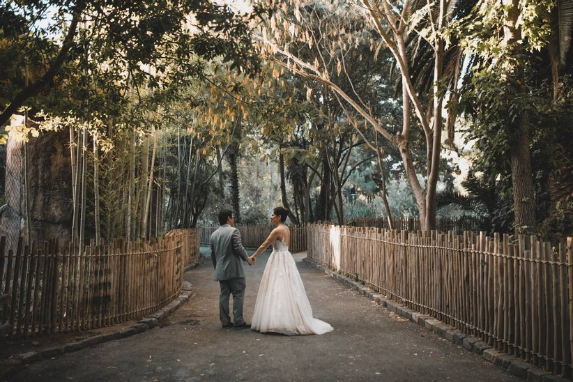 Жених и невеста гуляют в зоопарке Сакраменто