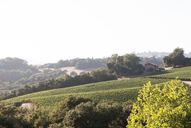 7 лучших свадебных площадок на винодельнях в Напе и Сономе