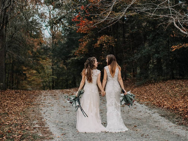 22 Forest Wedding Venues for Couples Who Love the Great Outdoors