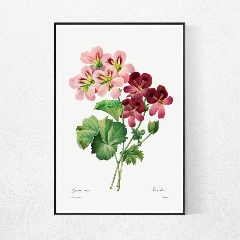 a framed painting of pink flowers