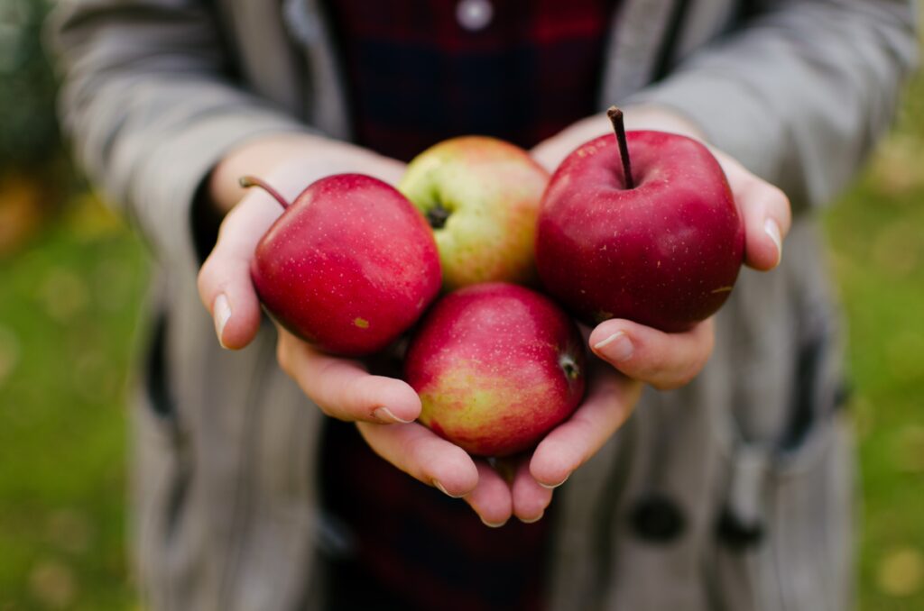 Яблоки для гадания - Андреевский день