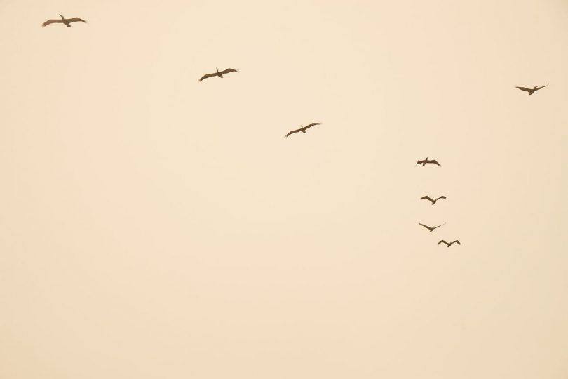 Christina Sfez - Свадебные платья - Коллекция 2022 - Свадебный блог: Босоногая невеста