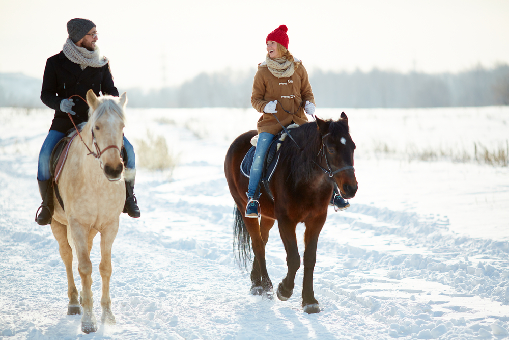 Зимняя фотосессия пары на лошадях 